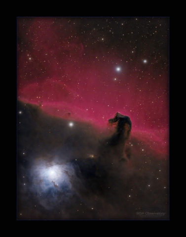 Horsehead1a.jpg