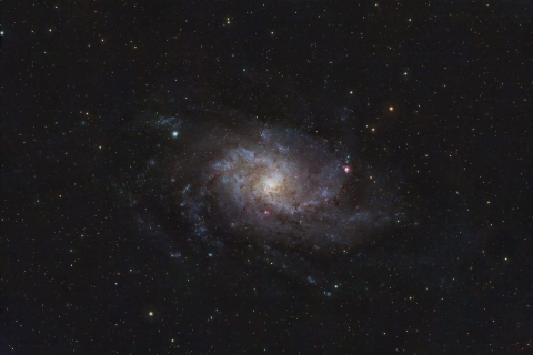 Messier 33 - The Triangulum Galaxy