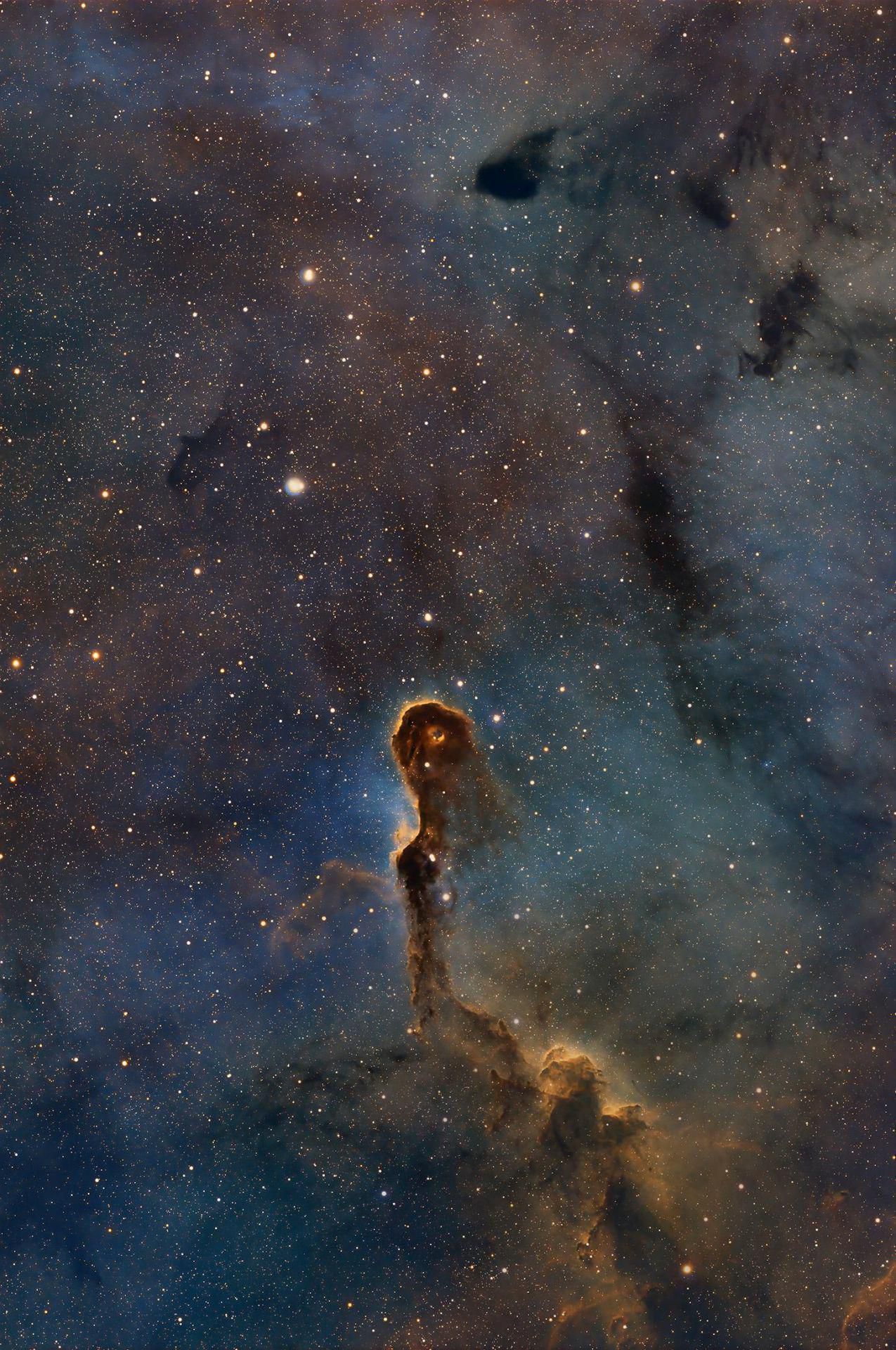 NGC 1396 - The Elephant's Trunk Nebula